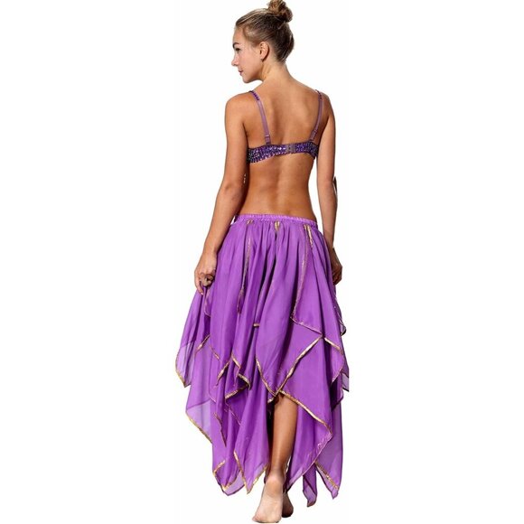 Women's Chiffon 10 Panel Violet Skirt Costume Elegant Flowy Dance or Party Skirt - Picture 2 of 8